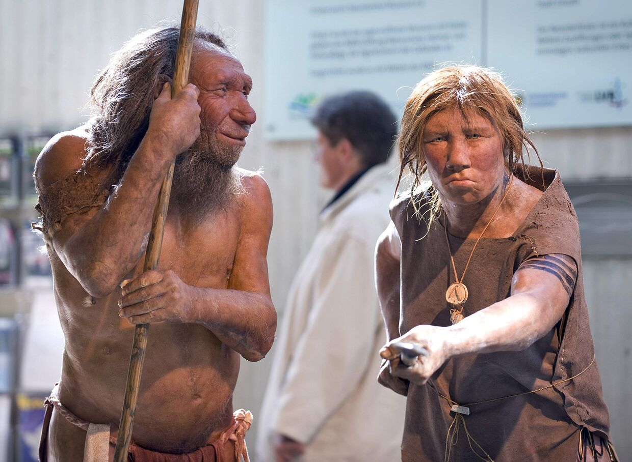 Реконструкция внешнего облика Неандертальцев в музее города Меттман