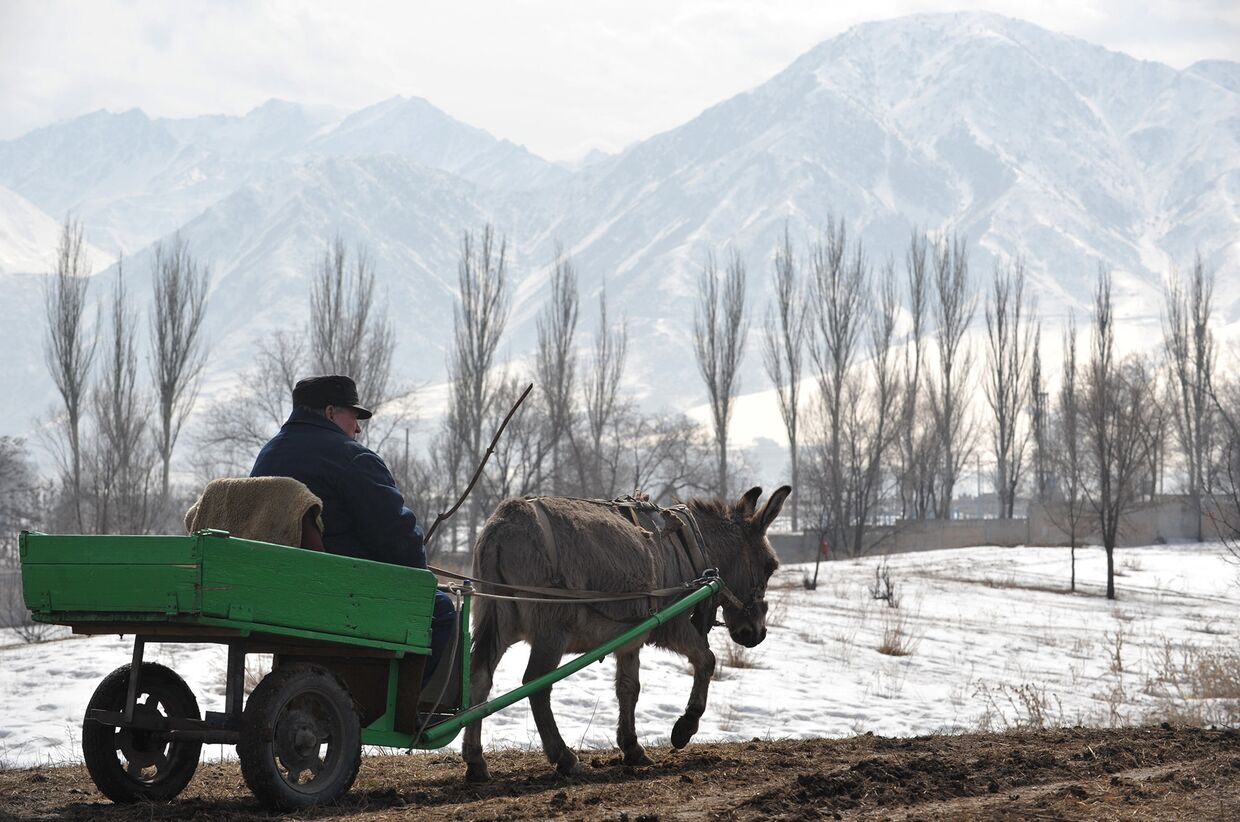 Недалеко от села Кой-Таш в Киргизии