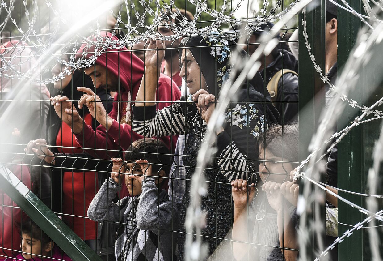 Мигранты за ограждением на границе Венгрии и Сербии