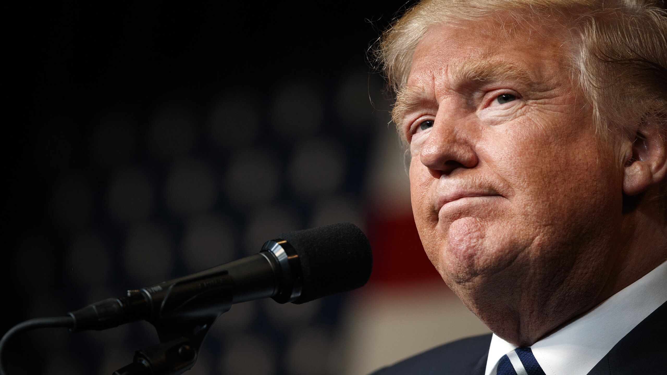Японцы за российских морских ежей и двор стреляют в упор: Трампу прилетит