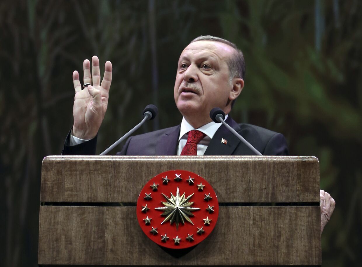 Президент Турции Реджеп Тайип Эрдоган обращается к фермерам в Анкаре