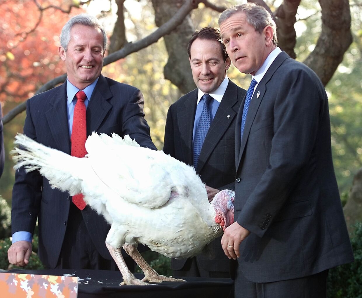 Президент США Джордж Буш - младший во время Дня Благодарения