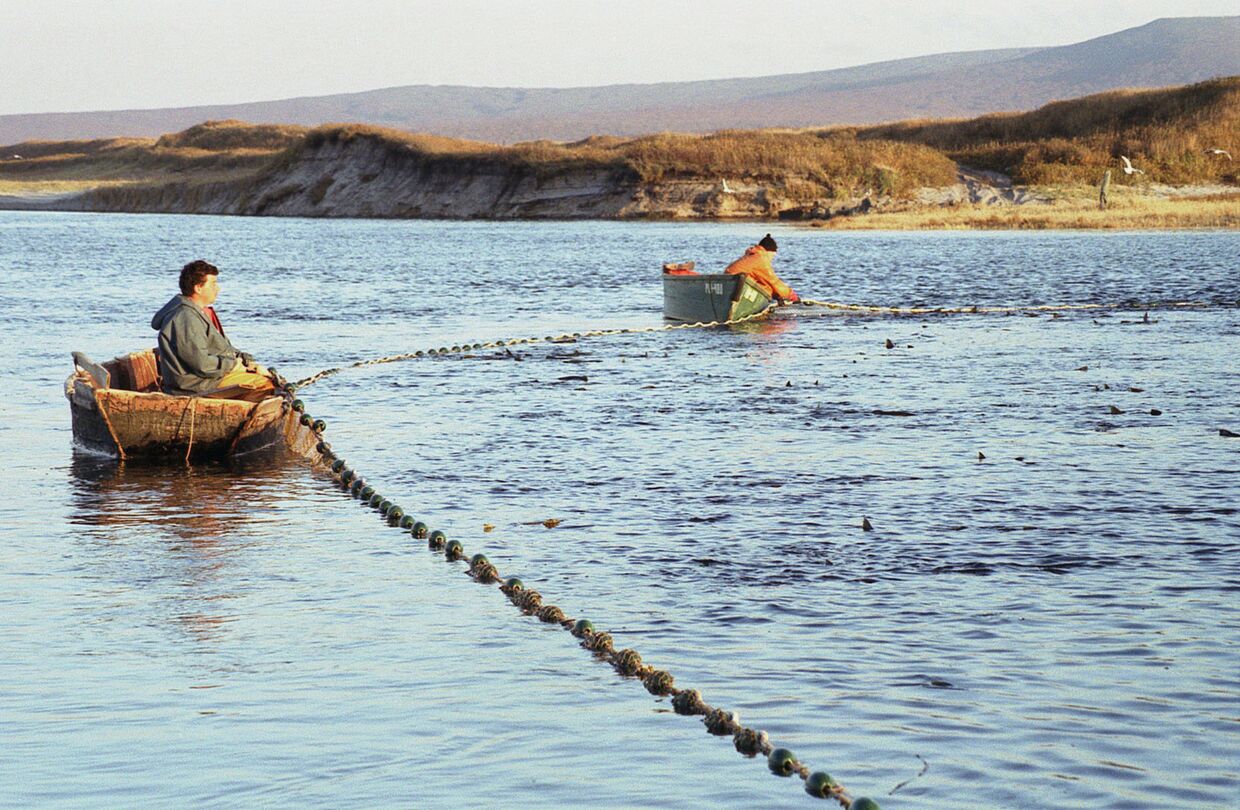 Рыбаки ЗАО «Гидрострой» на добыче рыбы на острове Итуруп на Дальнем Востоке