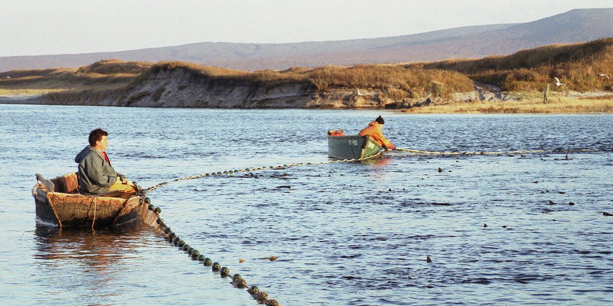 Рыбаки ЗАО «Гидрострой» на добыче рыбы на острове Итуруп на Дальнем Востоке