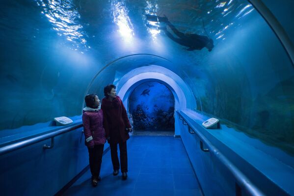 Посетители аквариума в Пхеньяне