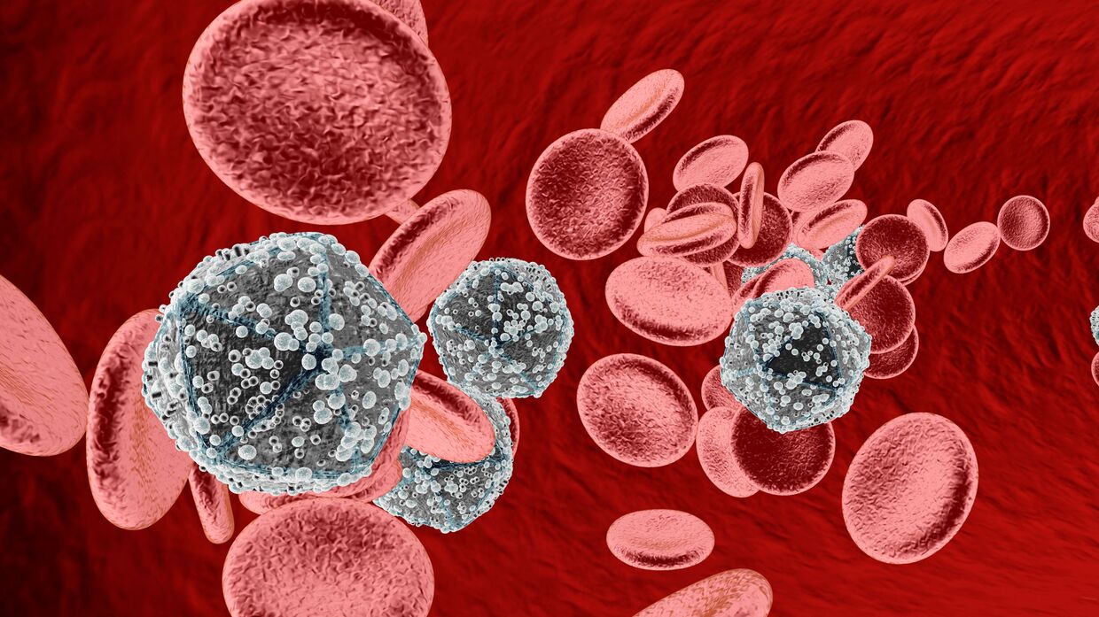 Вирус ВИЧ в крови человека