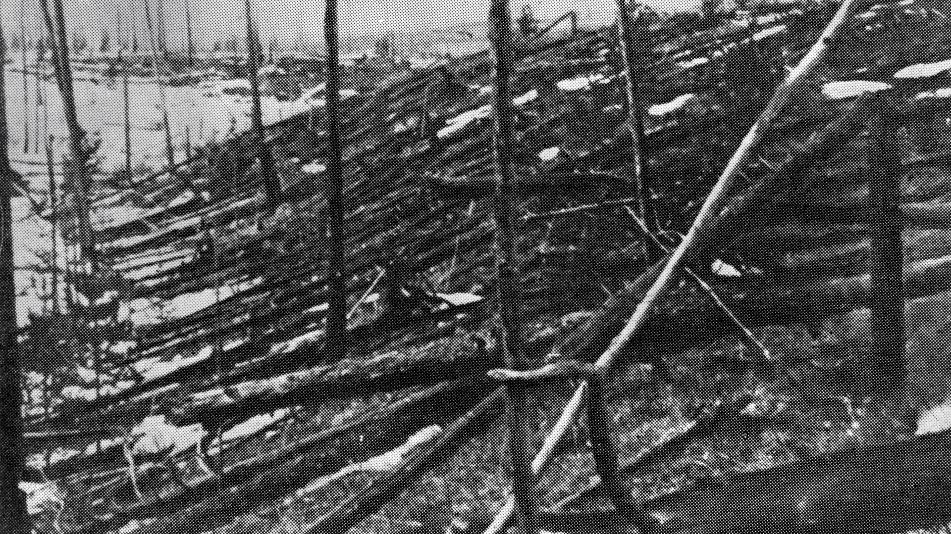 Место взрыва Тунгусского метеорита - ИноСМИ, 1920, 18.09.2022