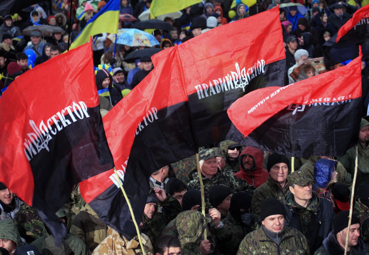 Участники митинга «За единую Украину» в Днепропетровске