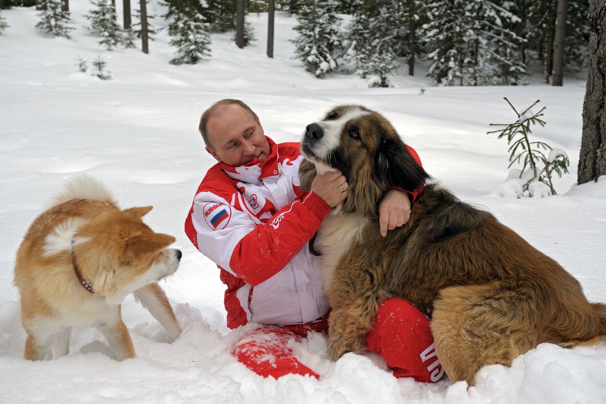 Президент России Владимир Путин с собаками