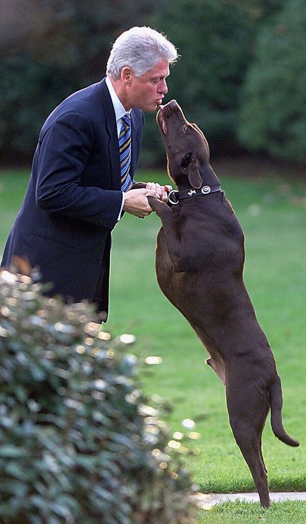 Президент США Билл Клинтон и его собака, архивное фото