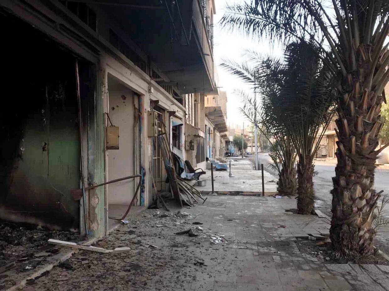 Разрушенные в результате боевых действий дома в жилой части города Пальмира в сирийской провинции Хомс