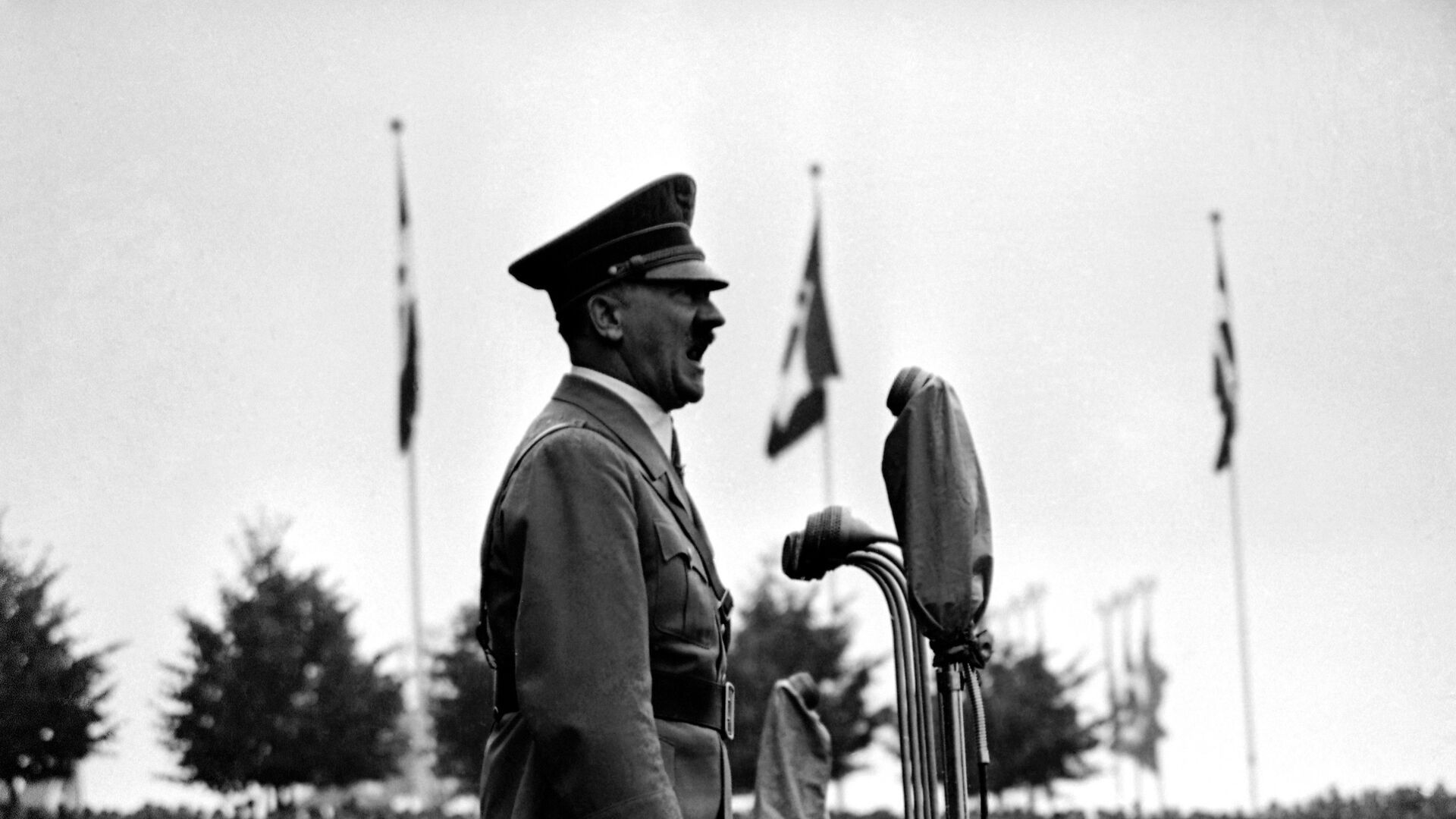 Канцлер Германии Адольф Гитлер - ИноСМИ, 1920, 12.10.2022