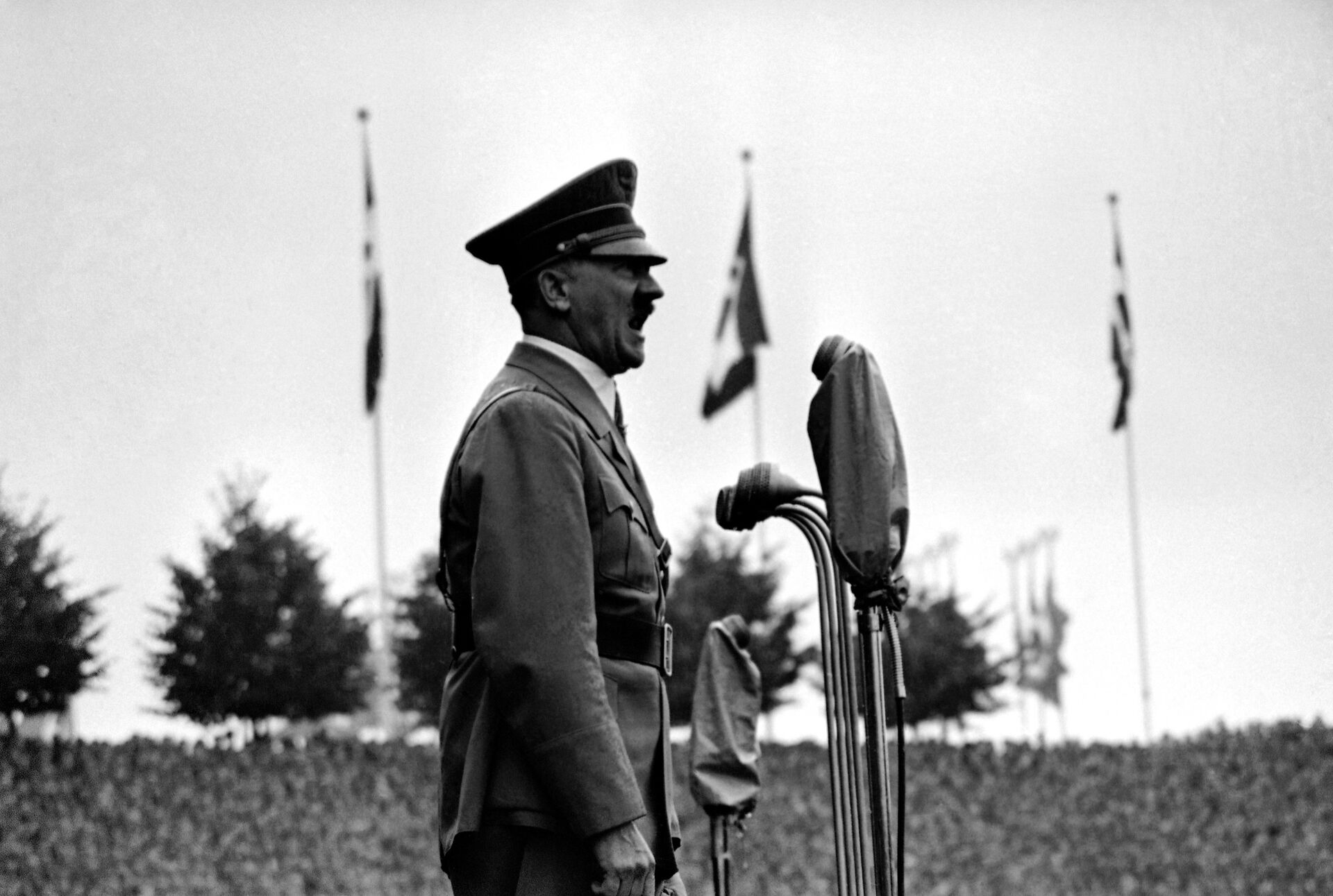Канцлер Германии Адольф Гитлер - ИноСМИ, 1920, 16.09.2021