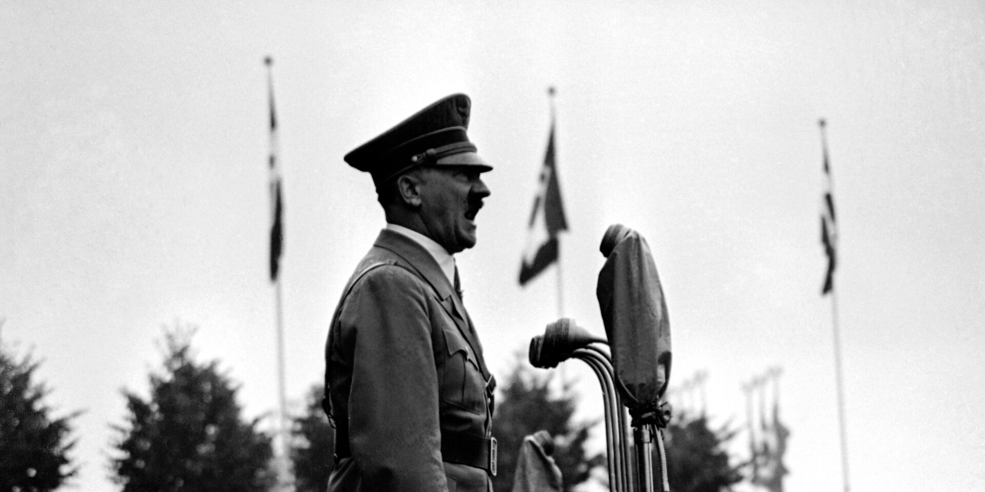 Канцлер Германии Адольф Гитлер - ИноСМИ, 1920, 12.10.2022