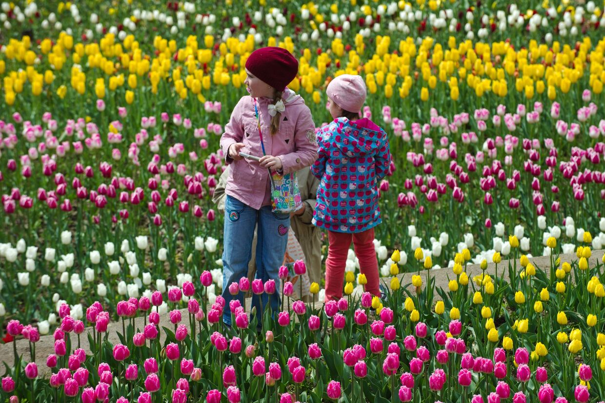Посетители на открытии выставки Парад тюльпанов в Никитском ботаническом саду в Крыму