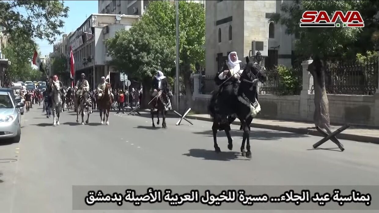 Парад чистокровных арабских лошадей в Дамаске в честь Дня независимости