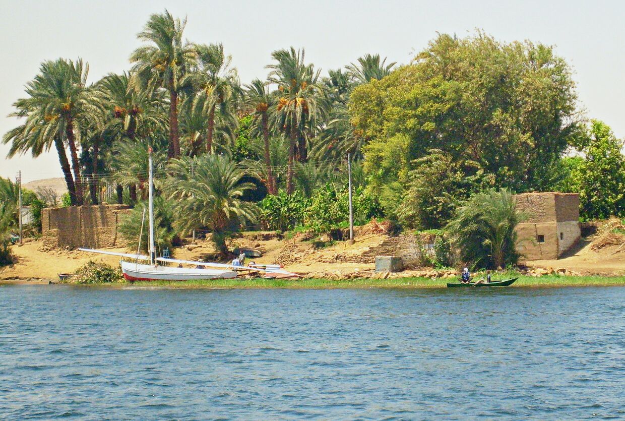 Берег реки Нил в Египте