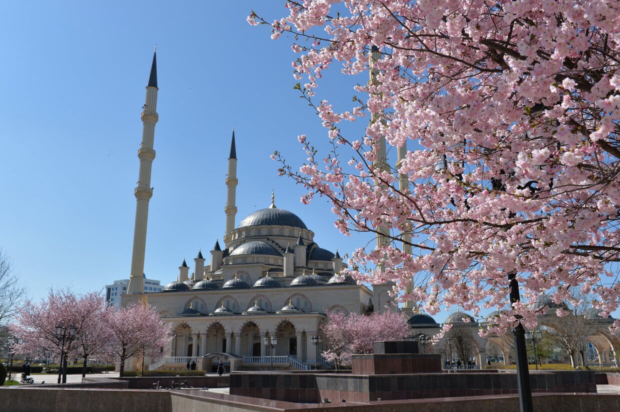 Мечеть Сердце Чечни имени Ахмата Кадырова в Грозном