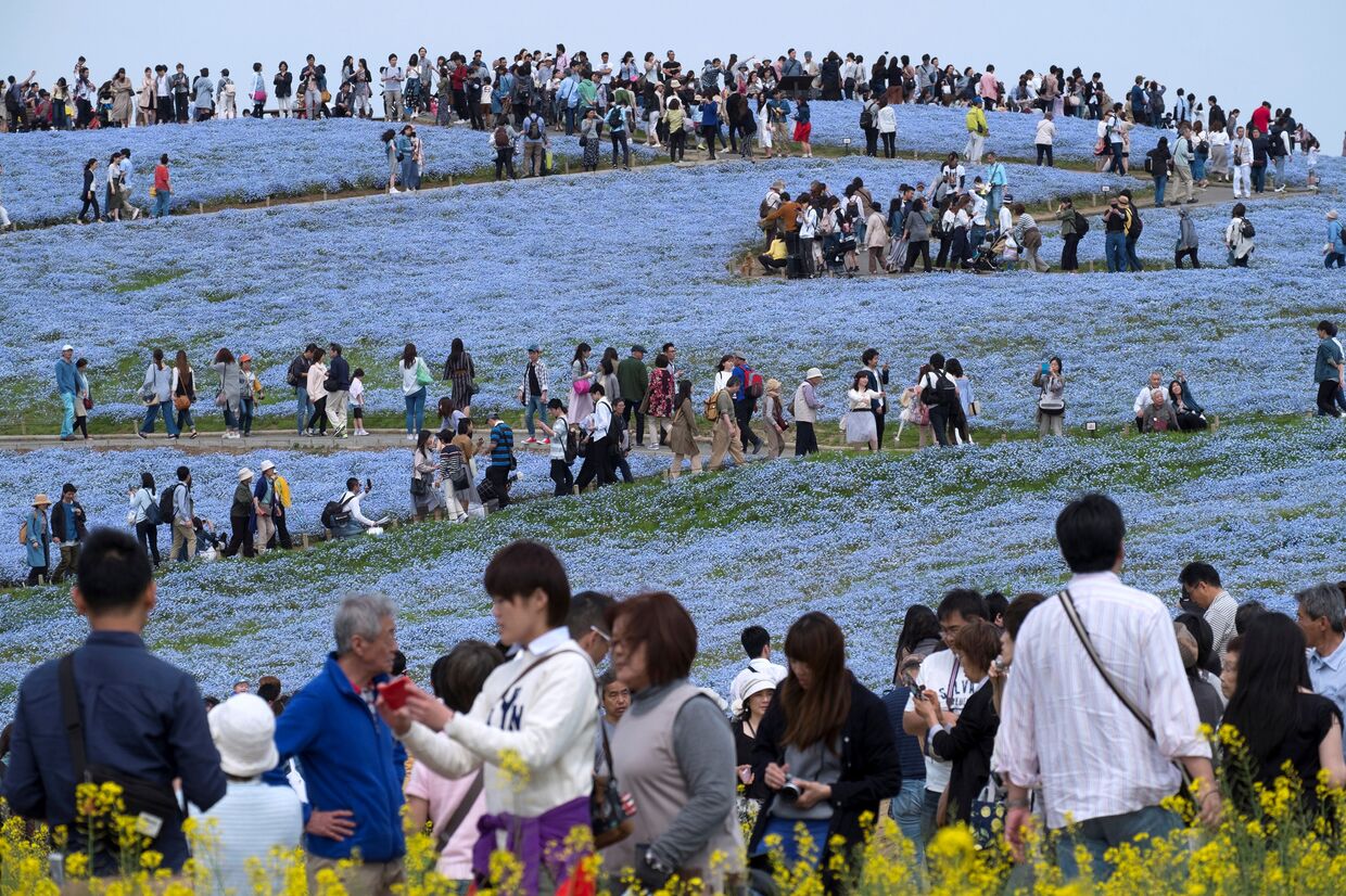 Туристы в Хитачи Сисайд-Парк в городе Хитатинака, Япония