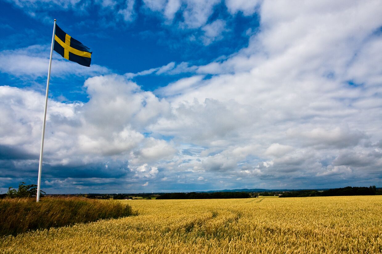 Флаг Швеции в поле