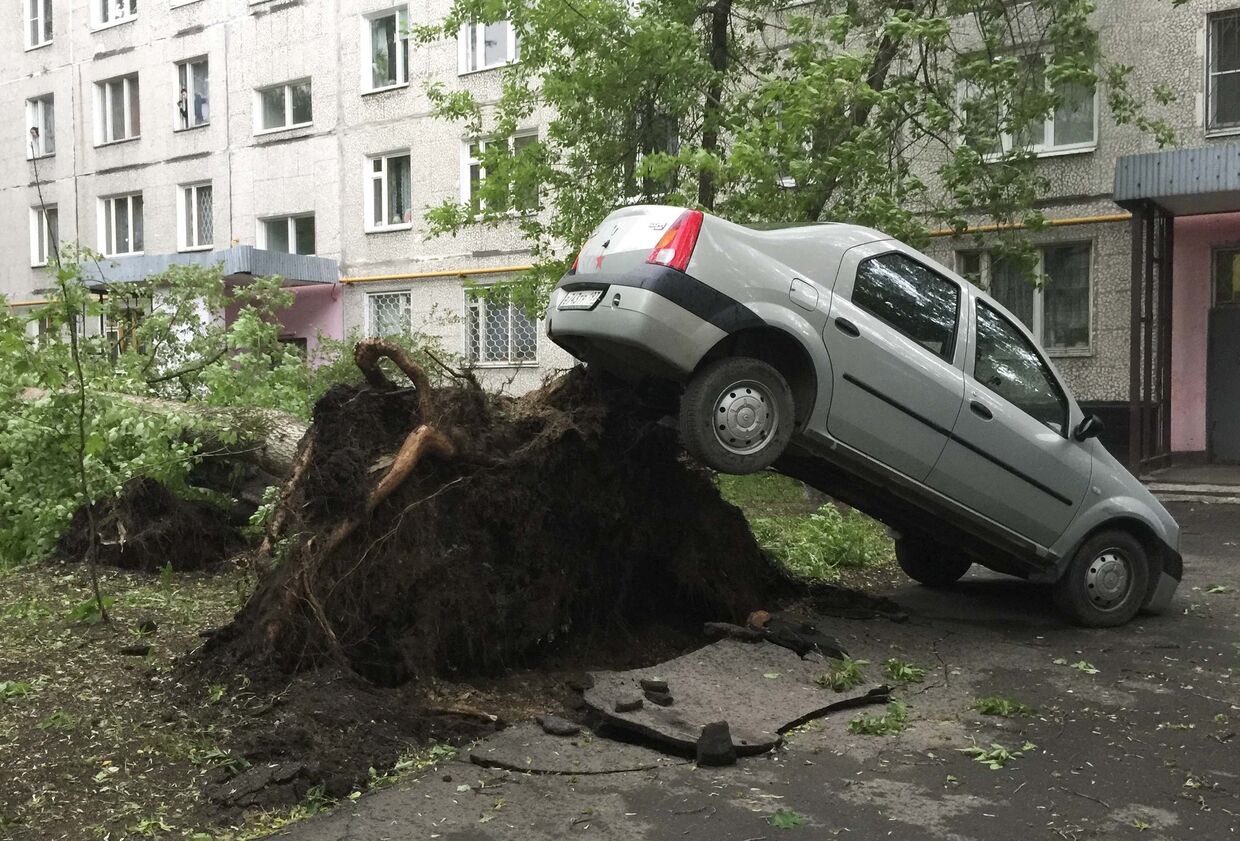 Последствия сильного шторма в Москве