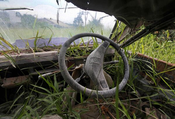 Заросший травой фургон, провинция Северная Суматра, Индонезия