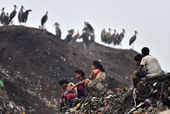 Сортировщики мусора на большой свалке в Гувахати, Индия