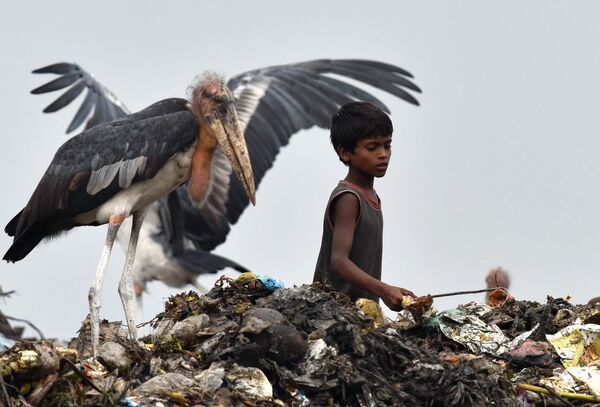Мальчик сортирует мусор на большой свалке в Гувахати, Индия