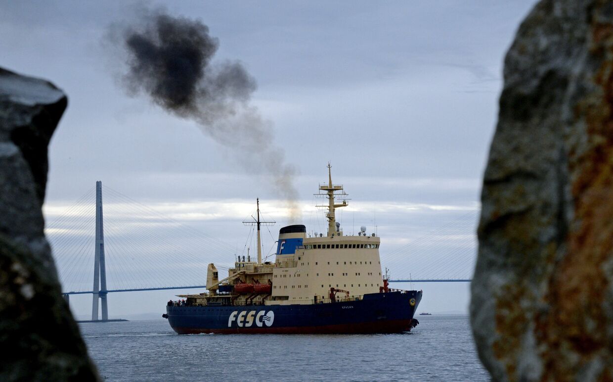 Прибытие ледокола «Красин» в порт Владивостока