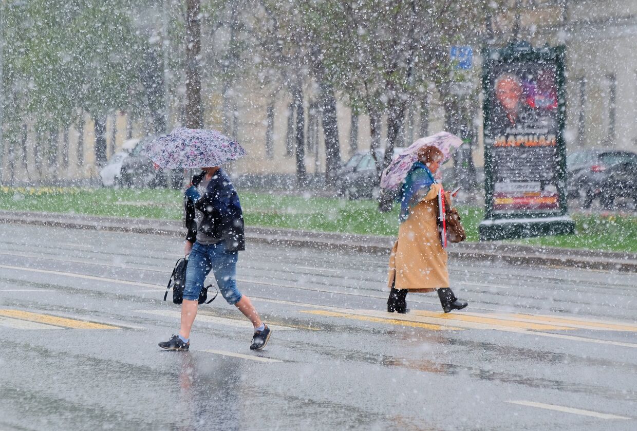 Пешеходы переходят дорогу в Москве во время снегопада