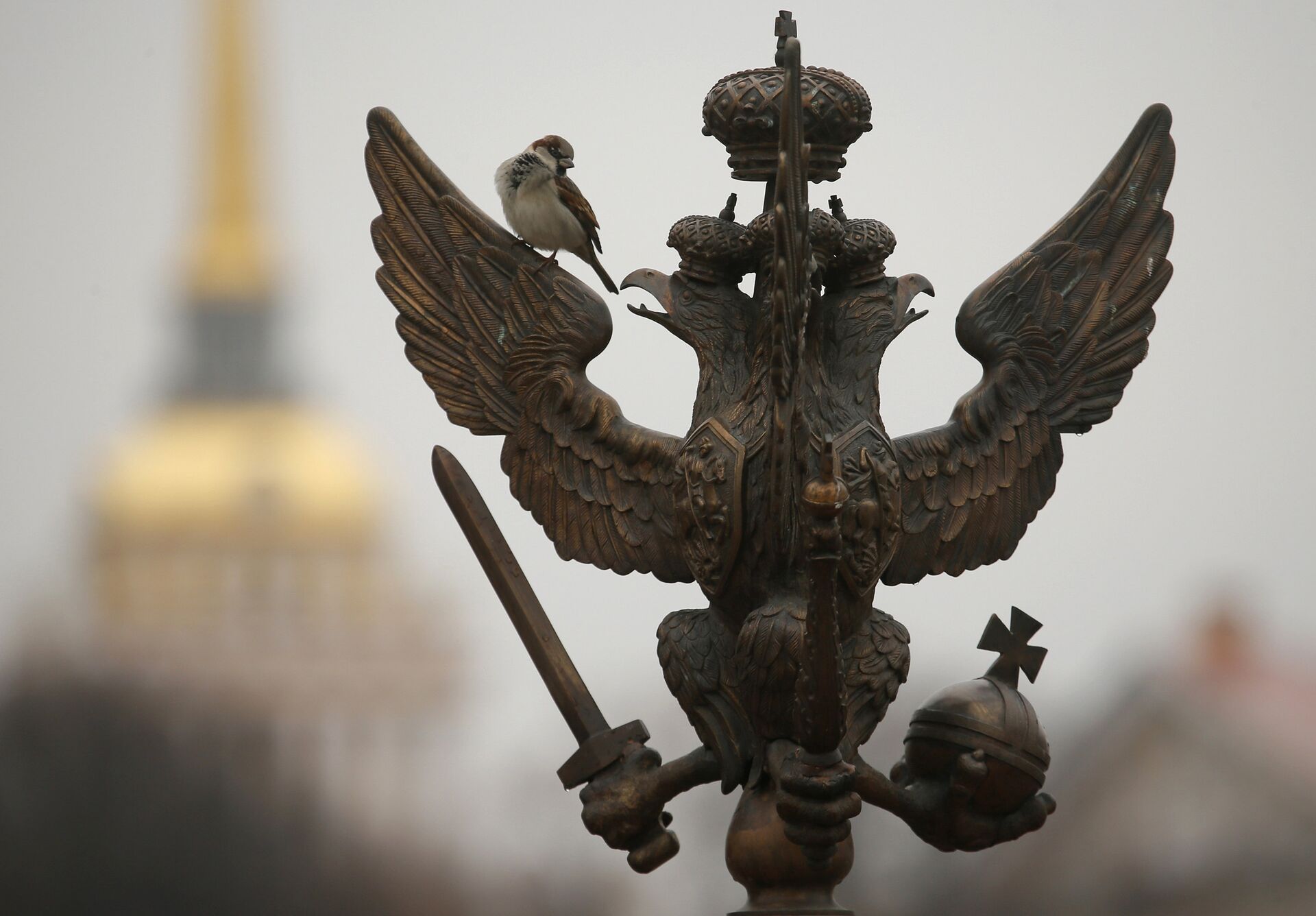 Бронзовая скульптура двуглавого орла на заборе на Дворцовой площади в Санкт-Петербурге - ИноСМИ, 1920, 15.11.2021