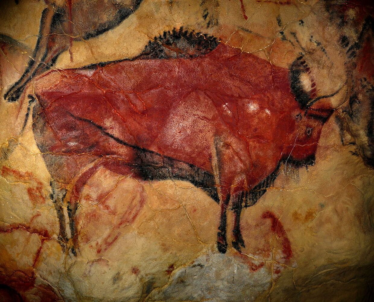 Изображение бизона из пещеры Альтамира