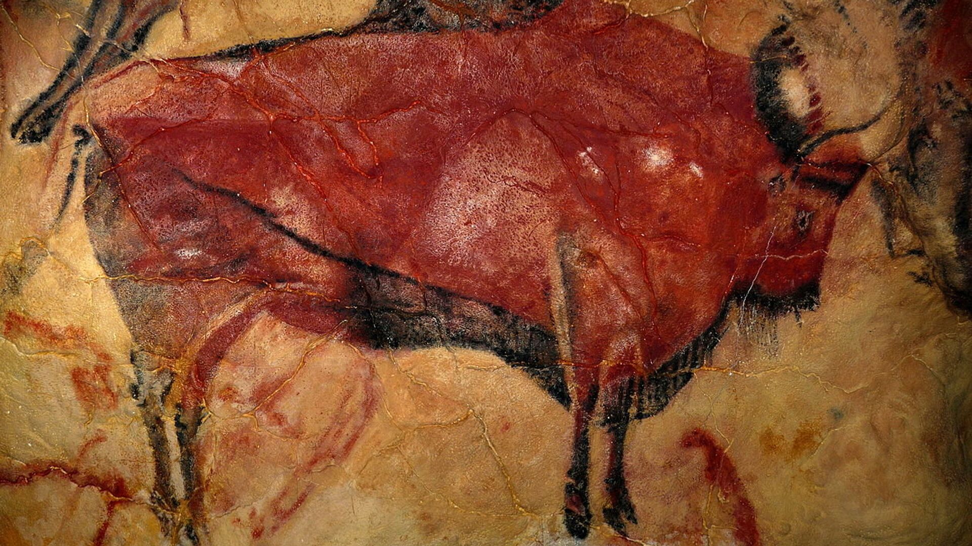 Изображение бизона из пещеры Альтамира - ИноСМИ, 1920, 04.03.2023