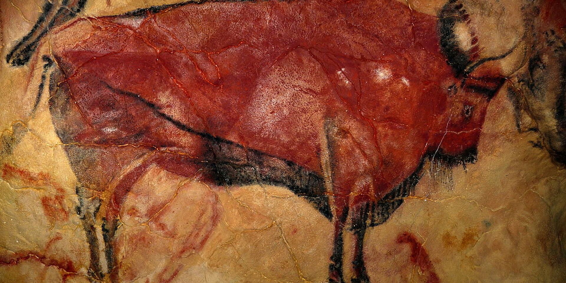 Изображение бизона из пещеры Альтамира - ИноСМИ, 1920, 04.03.2023