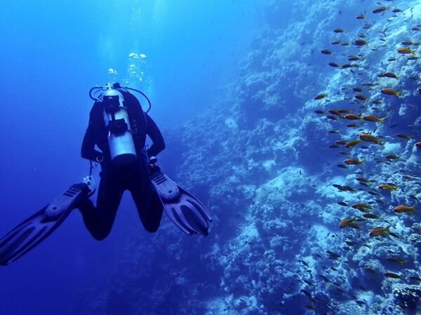 Инструктор по дайвингу рядом с островом Тиран, Красное море Инструктор по дайвингу рядом с островом Тиран, Красное море