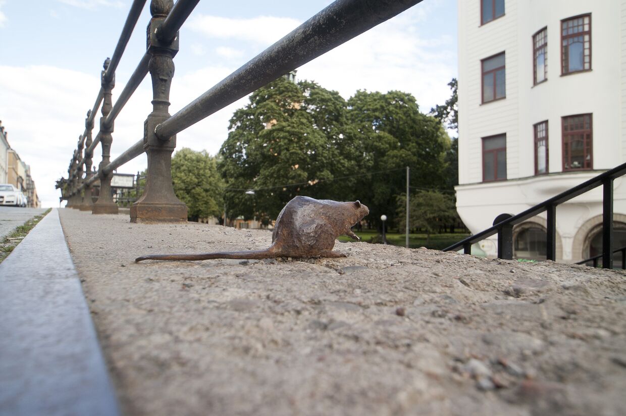 Скульптура крысы на Хорнсгатан в Стокгольме