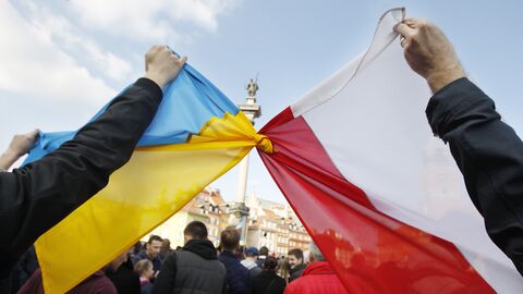 Флаги Польши и Украины во время демонстрации в поддержку оппозиционного движения на Украине
