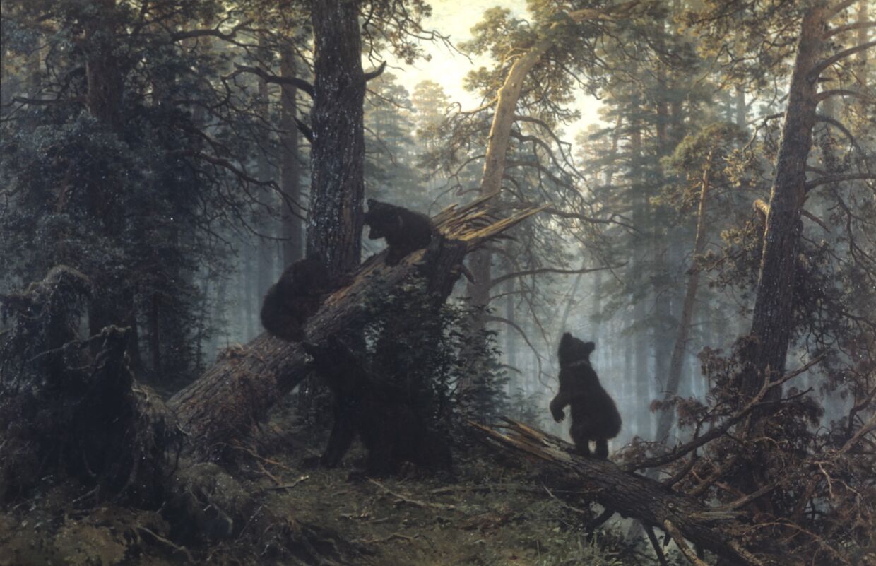Репродукция картины Утро в сосновом лесу