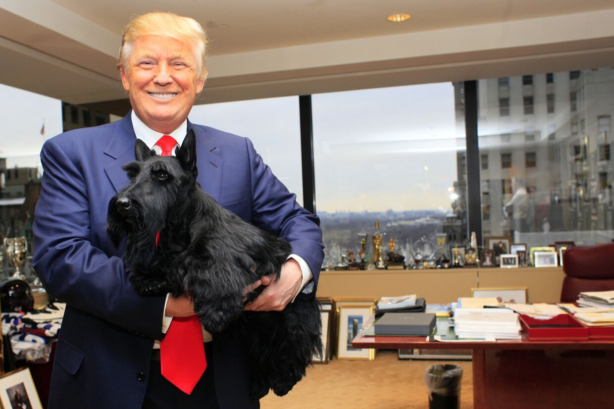 Победитель Вестминстерской выставки собак позирует с Дональдом Трампом в Трампа-Тауэр в Нью-Йорке