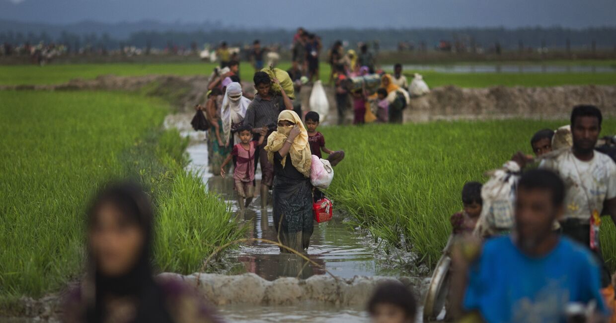 Люди из народности рохинджа проходят рисовые поля после перехода бангладешской границы