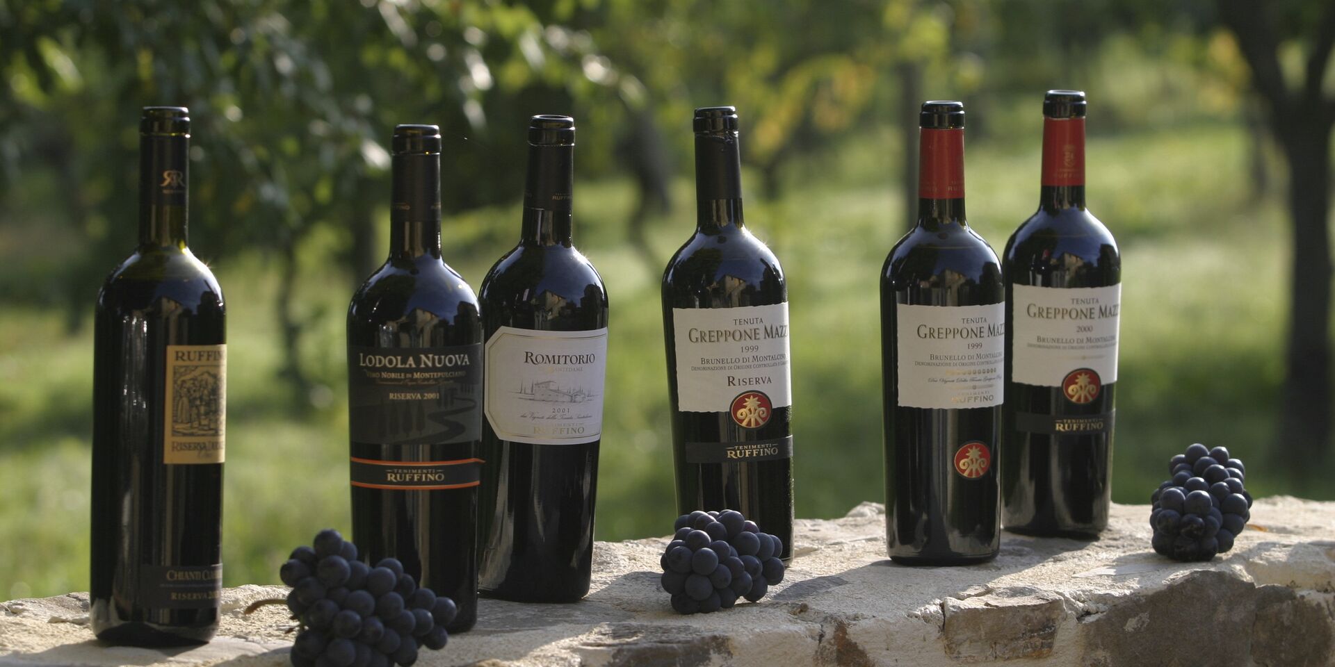 Красные вина из винограда брунелло - ИноСМИ, 1920, 29.06.2023