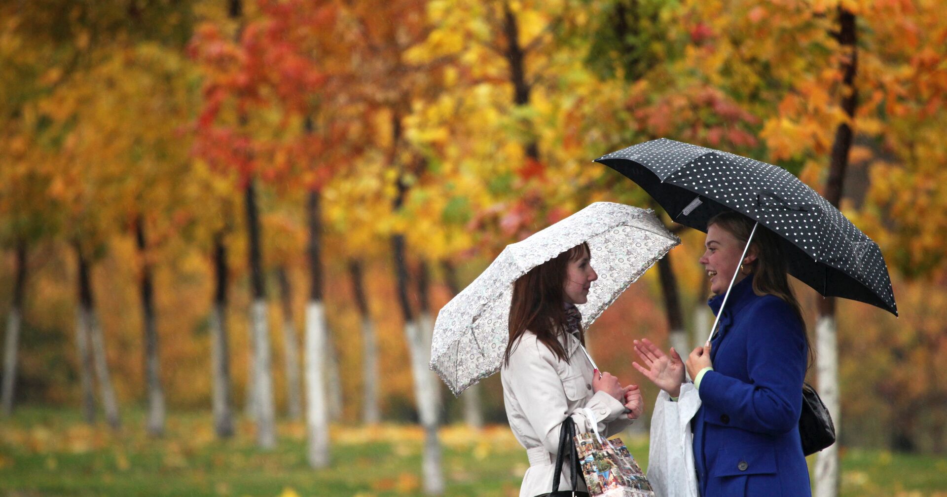 Люди с зонтами на улице осенью