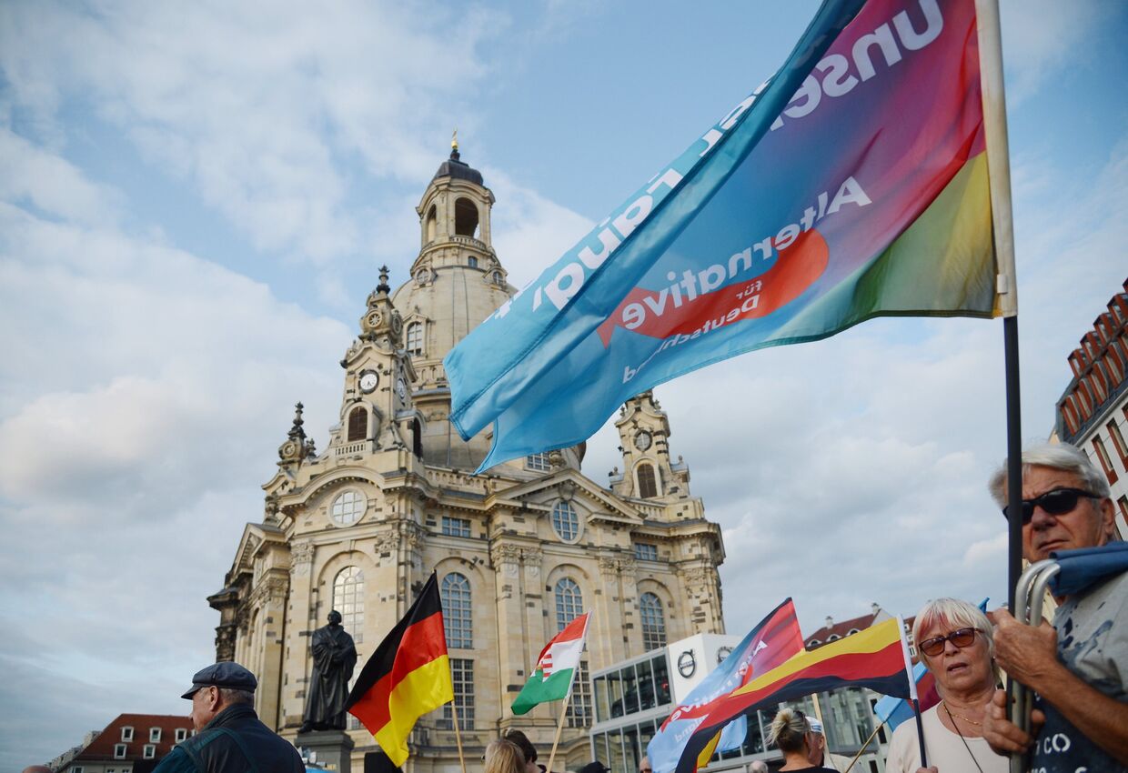 Акция партии Альтернатива для Германии против политики Ангелы Меркель в Дрездене