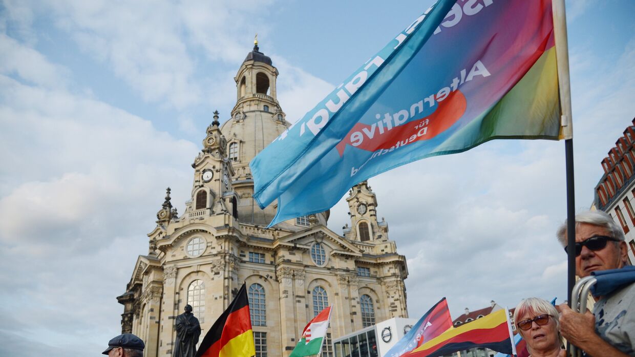 Акция партии Альтернатива для Германии против политики Ангелы Меркель в Дрездене