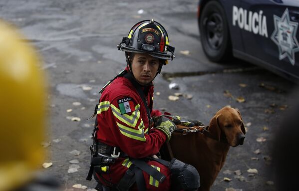 Собака-спасатель и ее вожатый готовятся к работе на месте разрушенного землетрясением семиэтажного здания