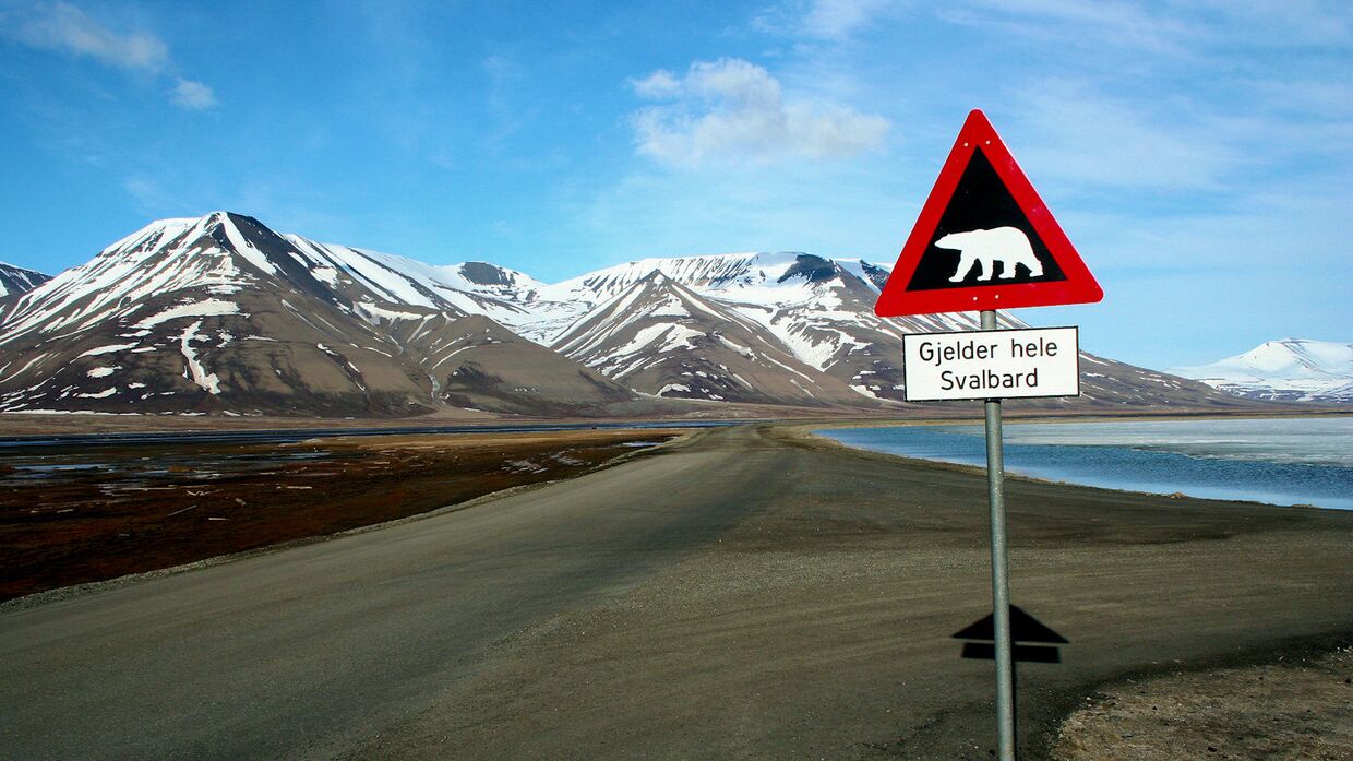 Знак, предупреждающий о белых медведях на Шпицбергене