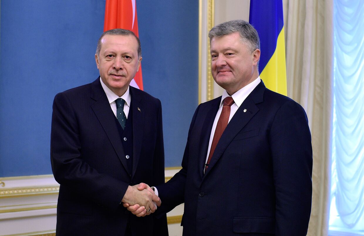 Президент Турции Реджеп Тайип Эрдоган и президент Украины Петр Порошенко во время встречи в Киеве