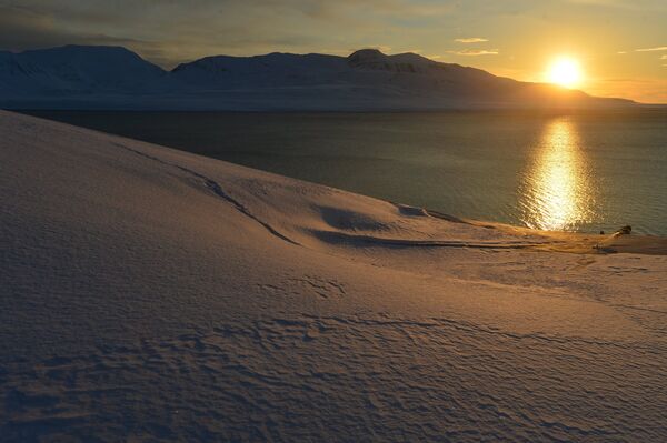 Высокоширотная полярная экспедиция на Шпицберген в рамках проекта Арктика – 2015 Высокоширотная полярная экспедиция на Шпицберген в рамках проекта Арктика – 2015