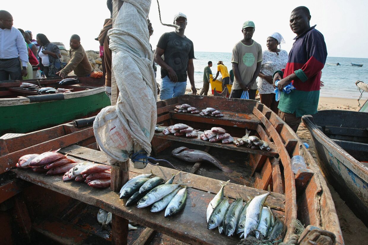 Торговля рыбой на берегу океана в городе Луанда