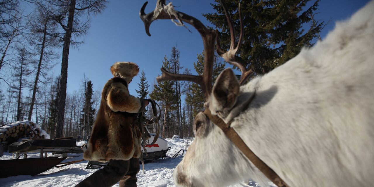 The New Yorker: главные тайны Сибири, сокрытые вечной мерзлотой |  22.01.2022, ИноСМИ